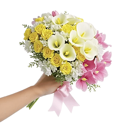 Delicate Petal Cascade