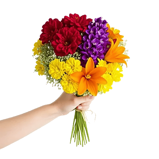 Petal Harmony Bliss