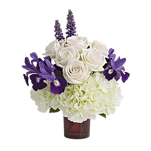 Ivory Blossom Radiance