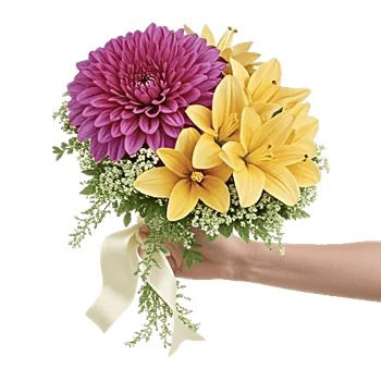 Ivory Blossom Radiance