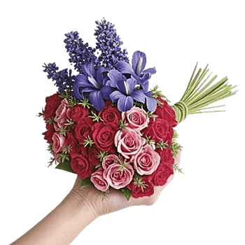 Rosemary Bloom Elegance