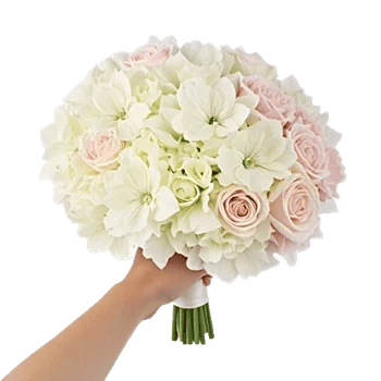 Ivory Blossom Radiance