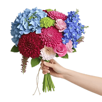 Serene Petal Harmony