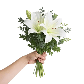 Graceful Lily Display