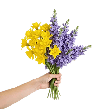 Crisp Spring Blooms