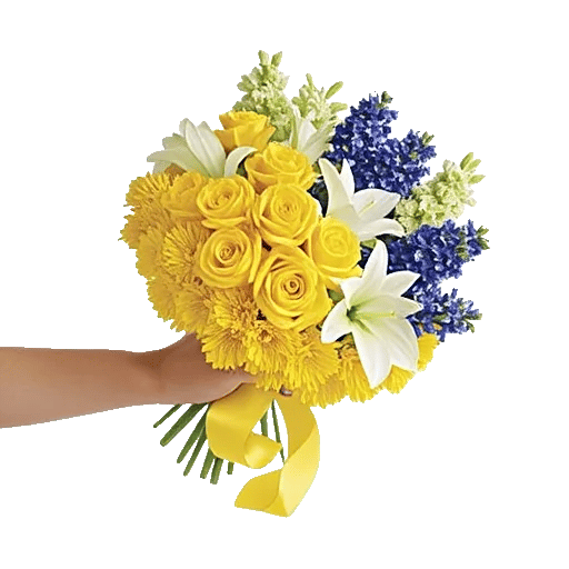 Blossom Harmony Display