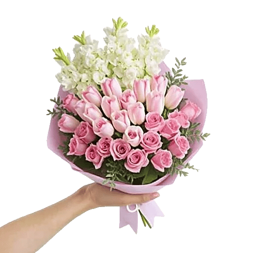 Blossom Harmony Display