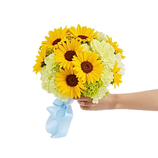 Radiant Bloom Cascade