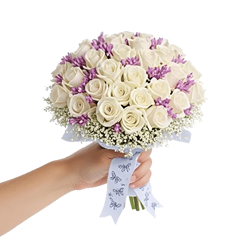 Blushing Rose Symphony