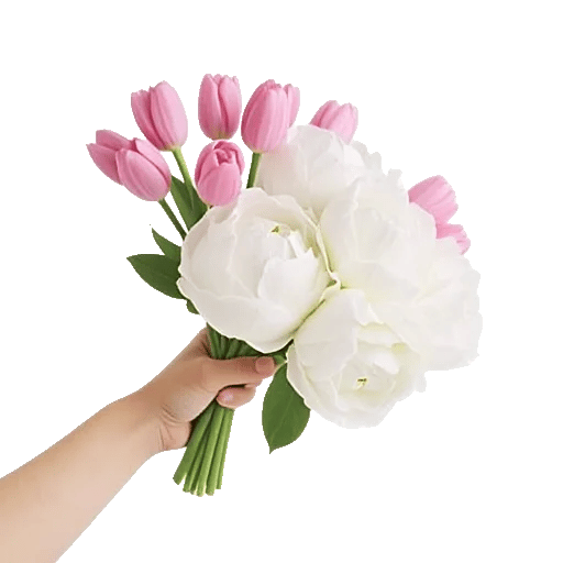 Peony Petal Harmony