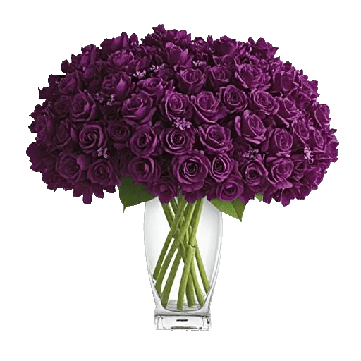 Lavender Bloom Grace