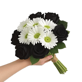 Crimson Rose Elegance