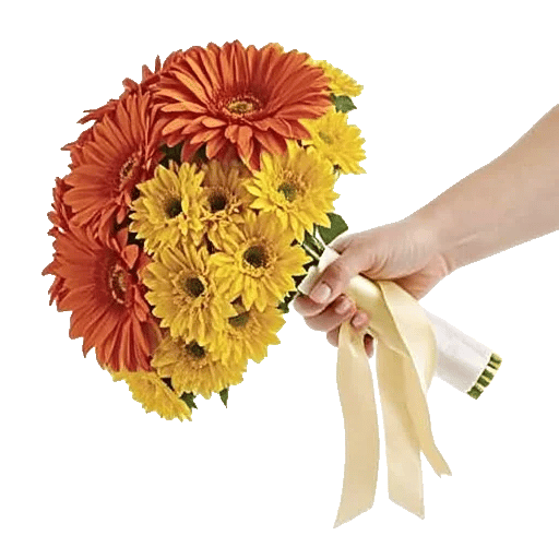 Radiant Bloom Cascade