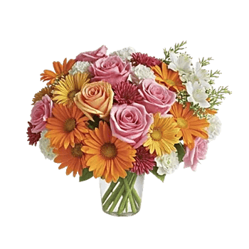 Petal Harmony Bliss