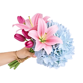 Blossom Harmony Display