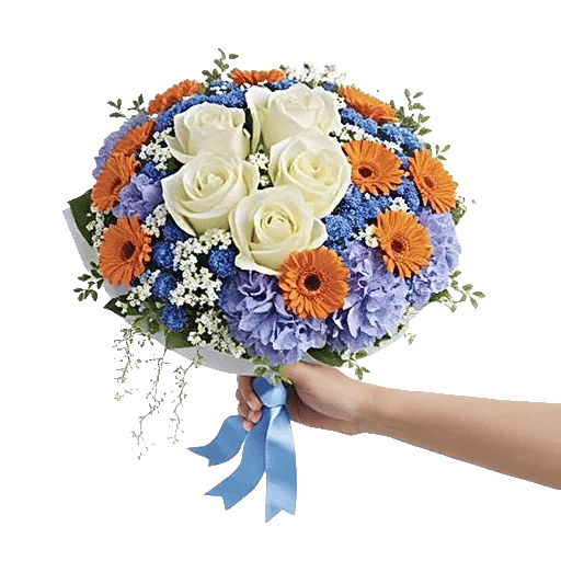 Serene Petal Harmony