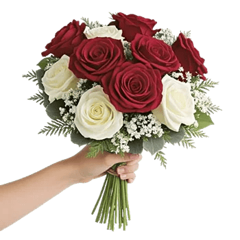 Crimson Rose Elegance