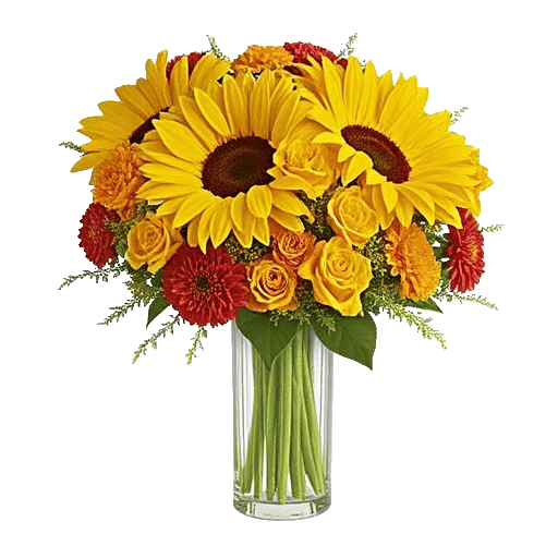 Golden Bloom Radiance