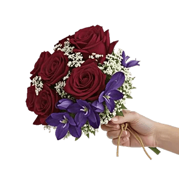 Crimson Rose Elegance