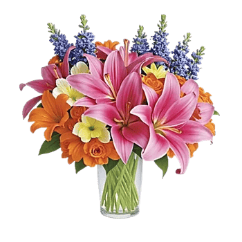 Graceful Lily Display