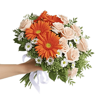Petal Harmony Bliss