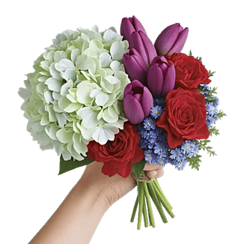 Serene Petal Harmony