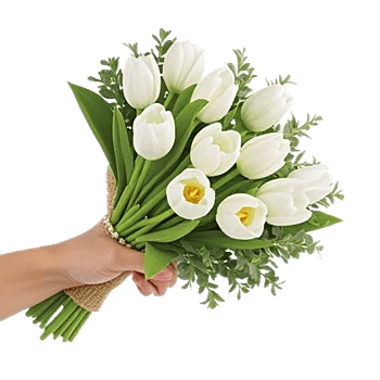 Blossom Harmony Display