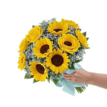 Blossom Harmony Display