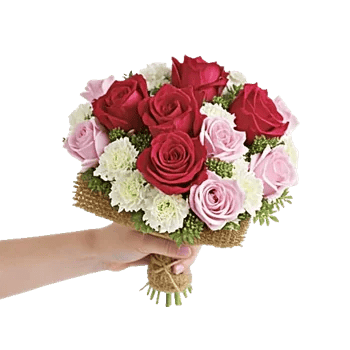 Crimson Rose Elegance