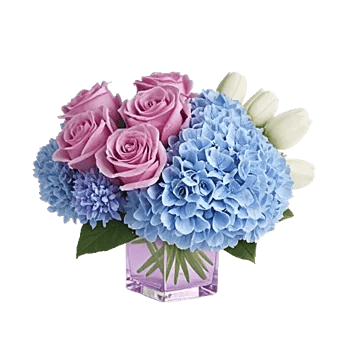 Lavender Bloom Grace