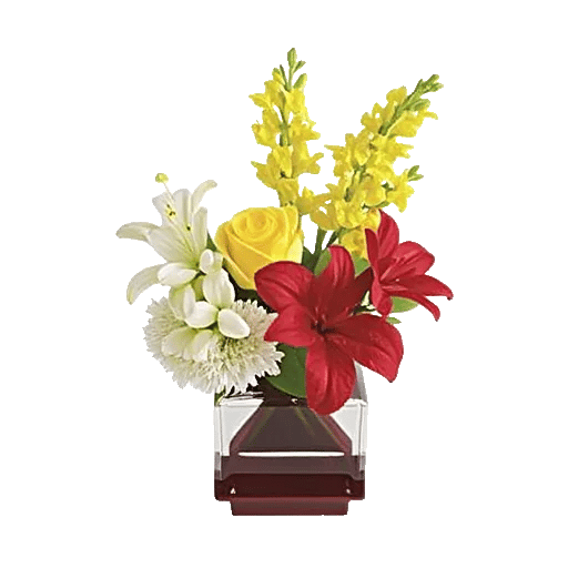 Ivory Blossom Radiance