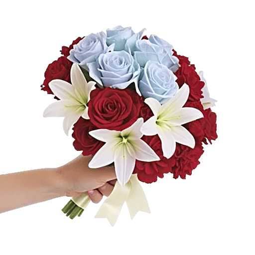 Blushing Rose Symphony