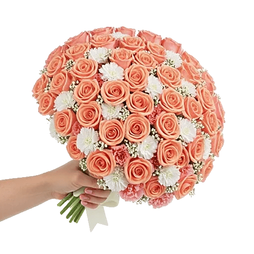 Pastel Pink Roses