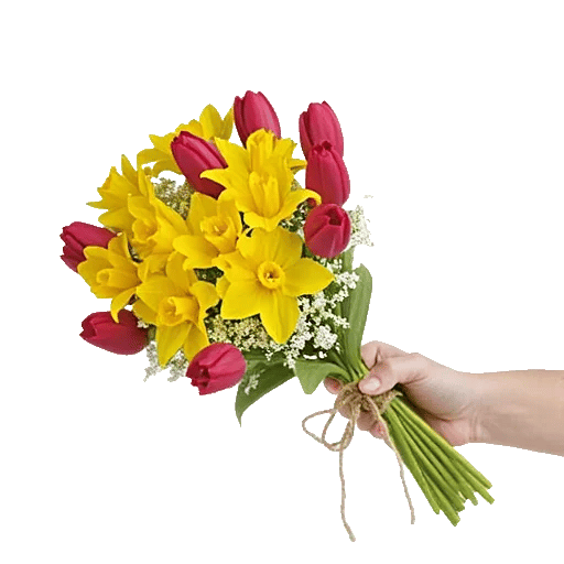 Blossom Harmony Display