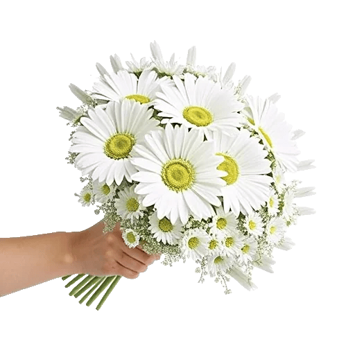 Petal Harmony Bliss