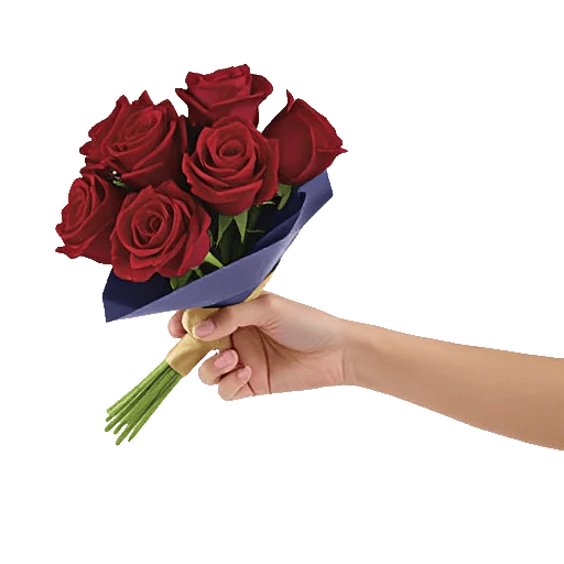 Crimson Rose Elegance