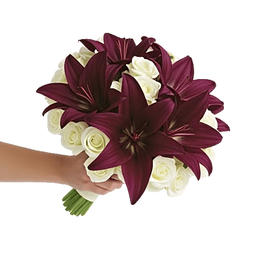 Blushing Rose Symphony