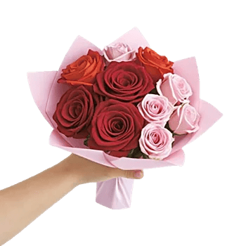 Crimson Rose Elegance