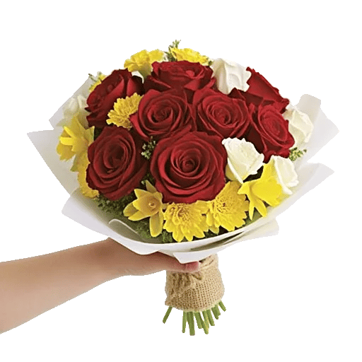 Crimson Rose Elegance