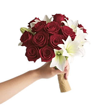 Crimson Rose Elegance