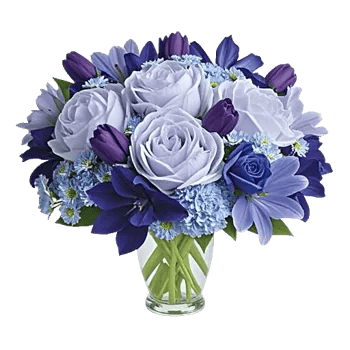 Petal Radiance Bliss