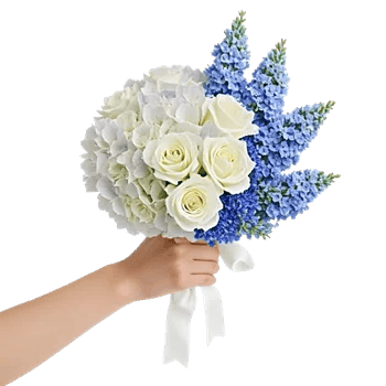 Sapphire Bloom Whisper