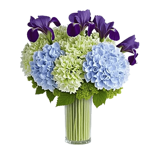 Ivory Blossom Radiance