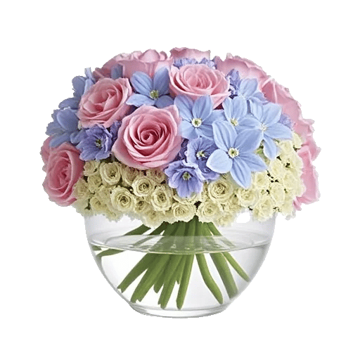 Petal Radiance Bliss