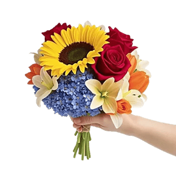 Twinkling Sunflower Dance