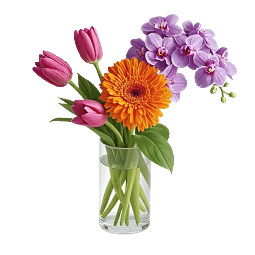 Velvet Tulip Display