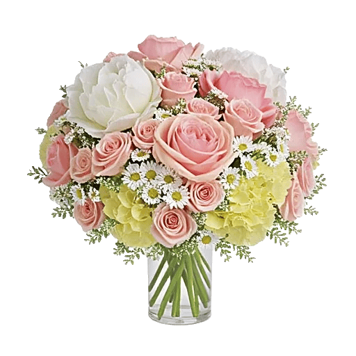 Ivory Blossom Radiance