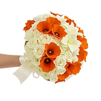 Blushing Rose Symphony