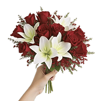 Crimson Rose Elegance