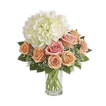 Ivory Blossom Radiance